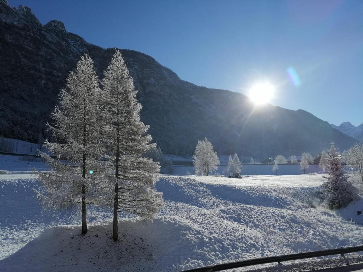 Ai Larici Perarolo di Cadore Exterior foto